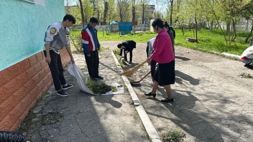 Таза өлке